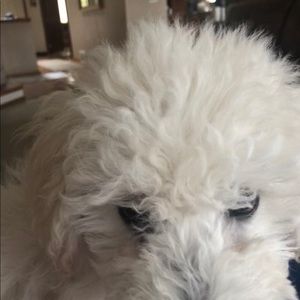 Meet your Posher, Rhonda